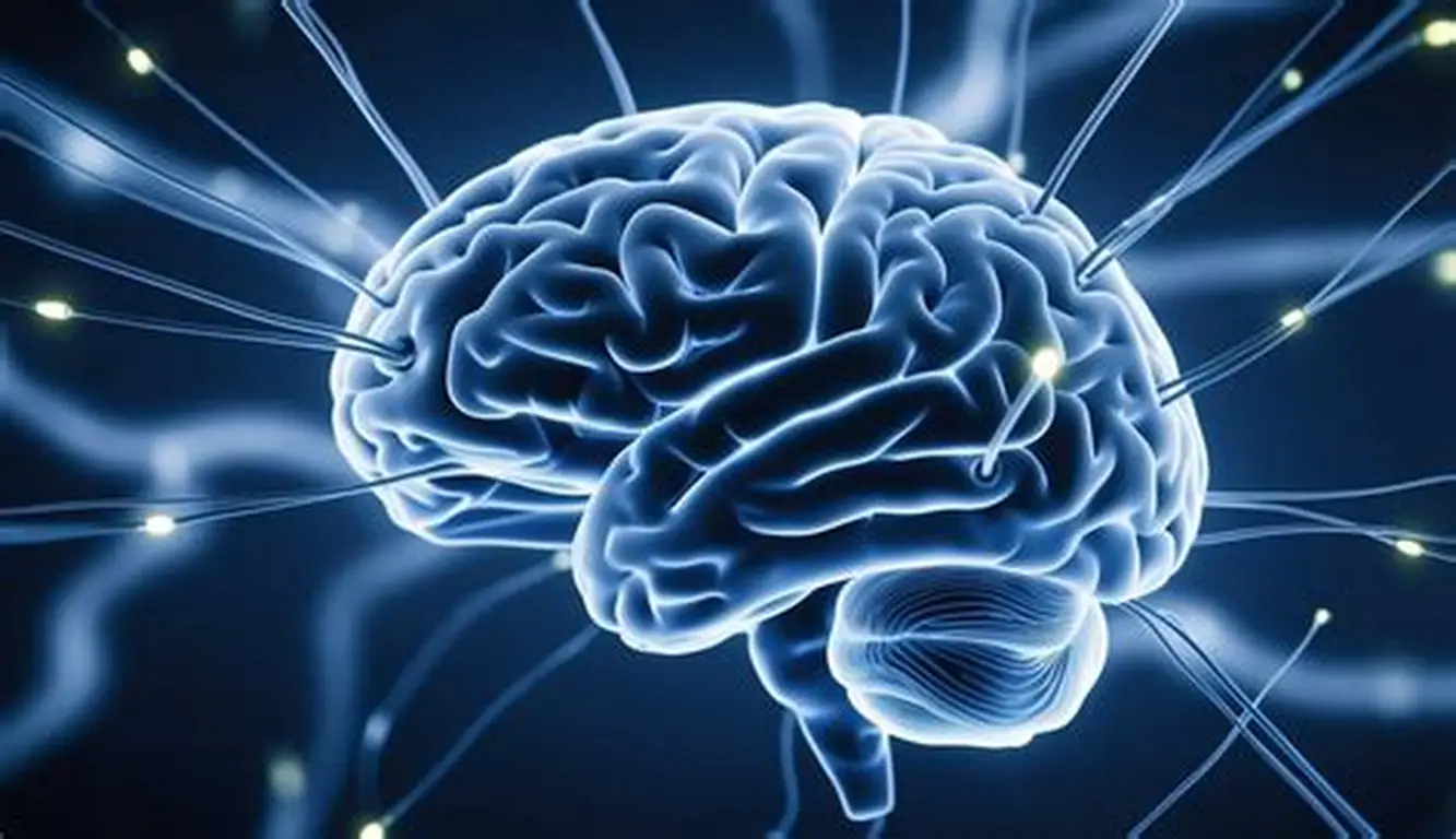 Brain health visual